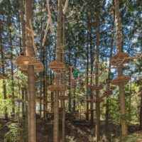 Obstacle Courses