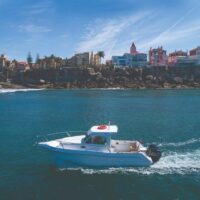 Self-guided Tours & Rentals