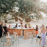 Food, Wine & Nightlife