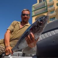 Self-guided Tours & Rentals