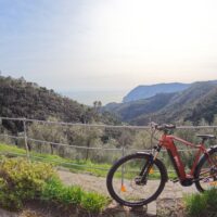 Bike & Mountain Bike Tours
