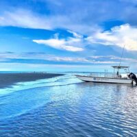 Half-day Tours
