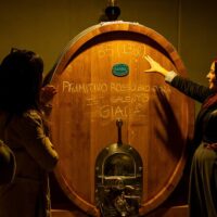 Wine Tasting & Winery Tours