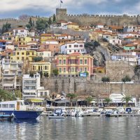 Bus & Minivan Tours