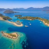 Bus & Minivan Tours