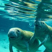 Photography Tours