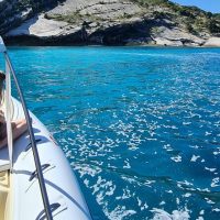 Cruises, Sailing & Water Tours