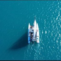 Private & Custom Tours
