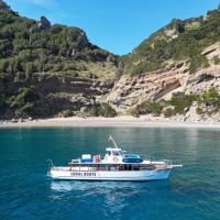 Glass Bottom Boat Tours