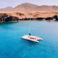 Day Cruises