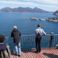 Walking Tours
