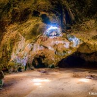 Day Trips & Excursions