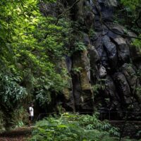 Bus & Minivan Tours