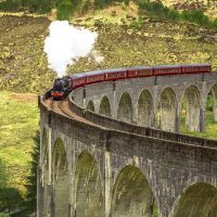 Holiday & Seasonal Tours