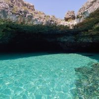 Cruises, Sailing & Water Tours