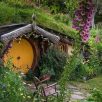Multi-day & Extended Tours