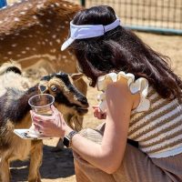 Private & Custom Tours