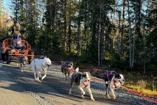 Good Friday in Central Sweden