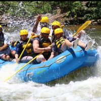 Adrenaline & Extreme