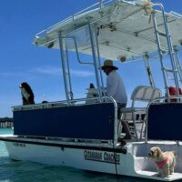 Honeymoon Packages