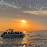 Private Sightseeing Tours