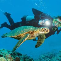 Scuba Diving