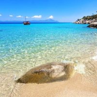 Day Trips & Excursions