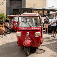 Half-day Tours