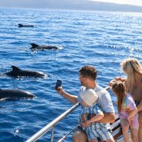 Ports of Call Tours