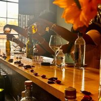 Wine Tasting & Winery Tours