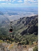 Bus & Minivan Tours
