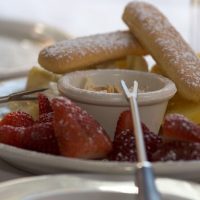Wine Tasting & Winery Tours