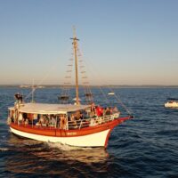 Ports of Call Tours