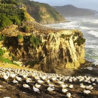 Air, Helicopter & Balloon Tours