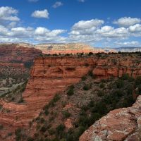 Tours & Sightseeing