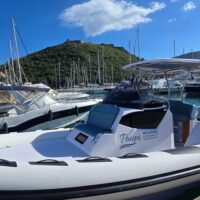 Cruises, Sailing & Water Tours
