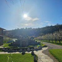 Wine Tasting & Winery Tours