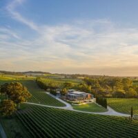 Wine Tasting & Winery Tours