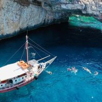Half-day Tours