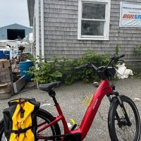 Bike Rentals