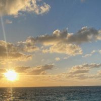 Catamaran Cruises