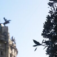 Luxury Tours