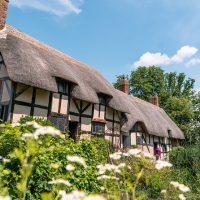 Holiday & Seasonal Tours