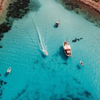 Day Cruises