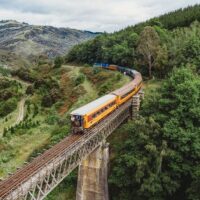 Shore Excursions