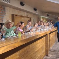 Holiday & Seasonal Tours