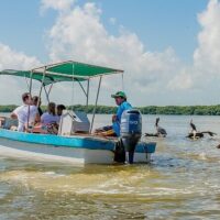 Day Cruises