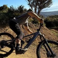 Bike Rentals