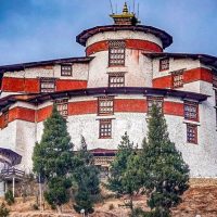 Bus & Minivan Tours