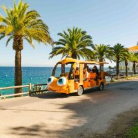 Private Sightseeing Tours